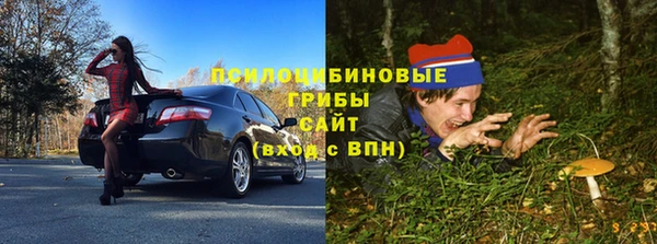 твердый Бронницы